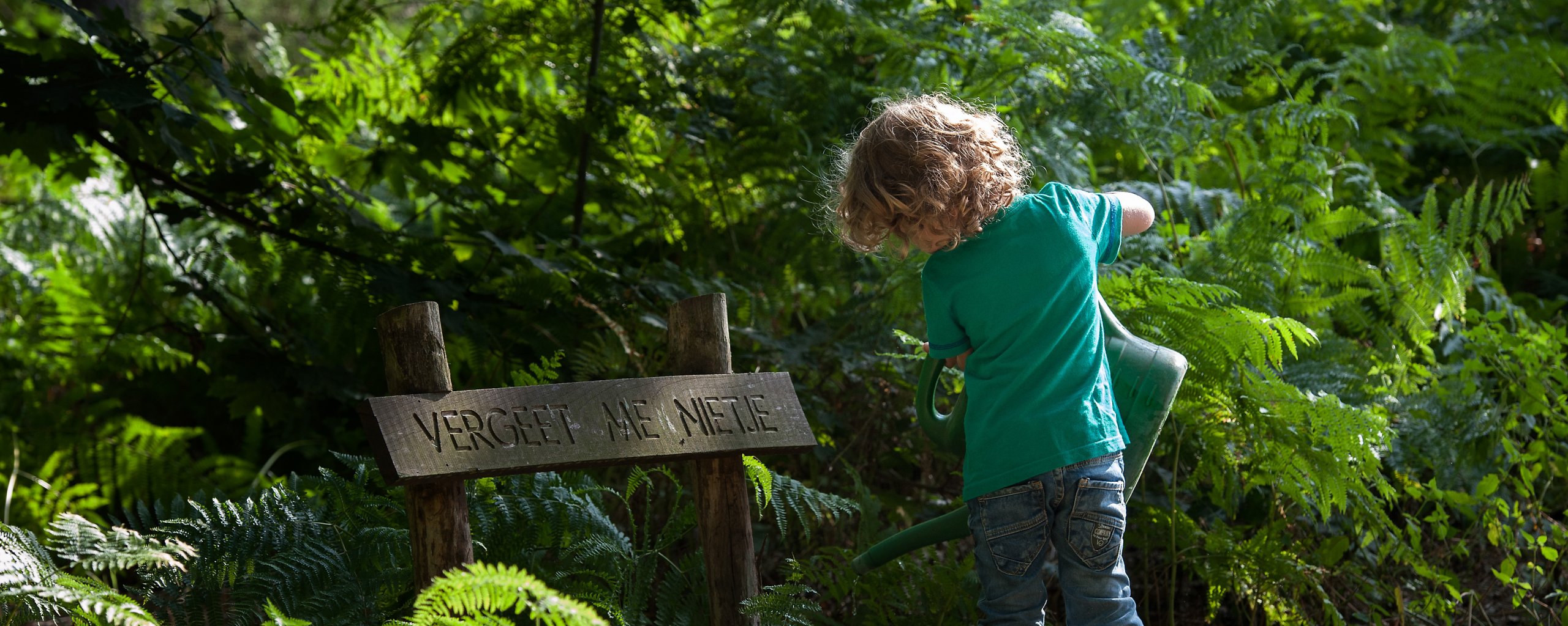 We zien een kind met blonde krullen dat met een gieter de plantjes water geeft bij een natuurgraf op natuurbegraafplaats Bergerbos. Bij het graf staat een houten bord met de tekst 'Vergeet me niet' erop.