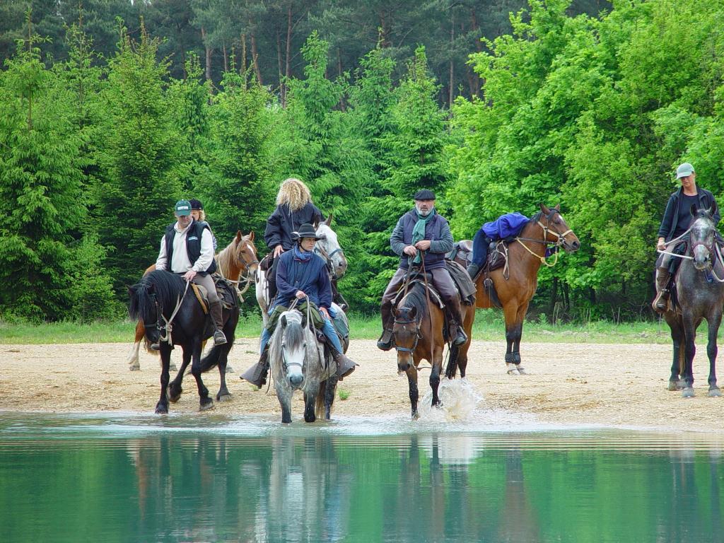 Ruiters laten hun paarden een vennetje ingaan.