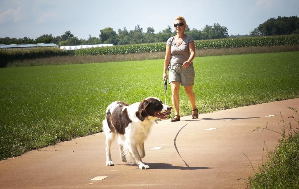 Een vrouw wandelt met een aangelijnde zwart wit gevlekte hond over een fietspad tussen de velden.