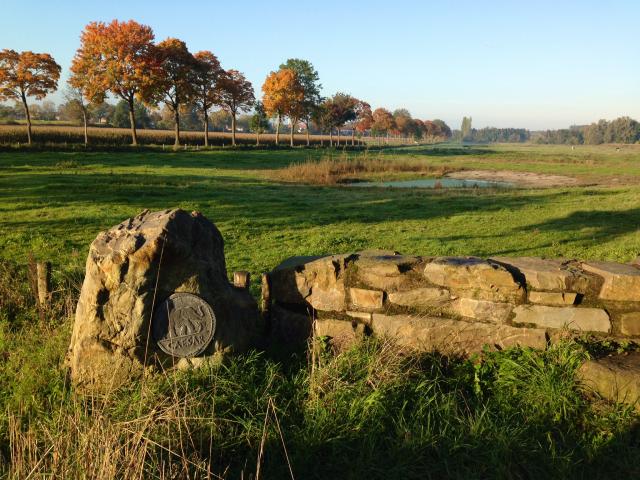We zien op de voorgrond een stenen muurtje met een uitvergroot voorbeeld van een munt uit de schat die op deze plek is gevonden in 2009. Op de achtergrond zien we een landschap met bomen.