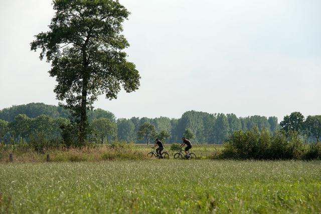 Landschap van gewassen met op de achtergrond een hoge boom. Door het landschap zien we twee fietsers voorbijkomen.