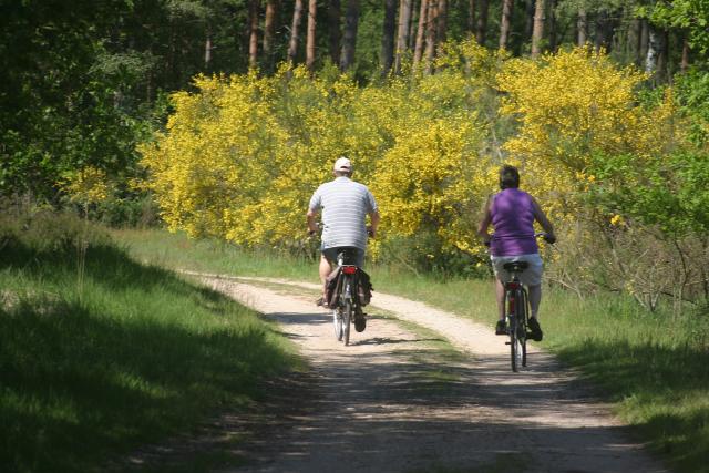 Een onverhard fietspad met links en rechts struiken en gele bloemen. Op het pad fietsen twee mensen die we van de achterkant op de fiets zien zitten.